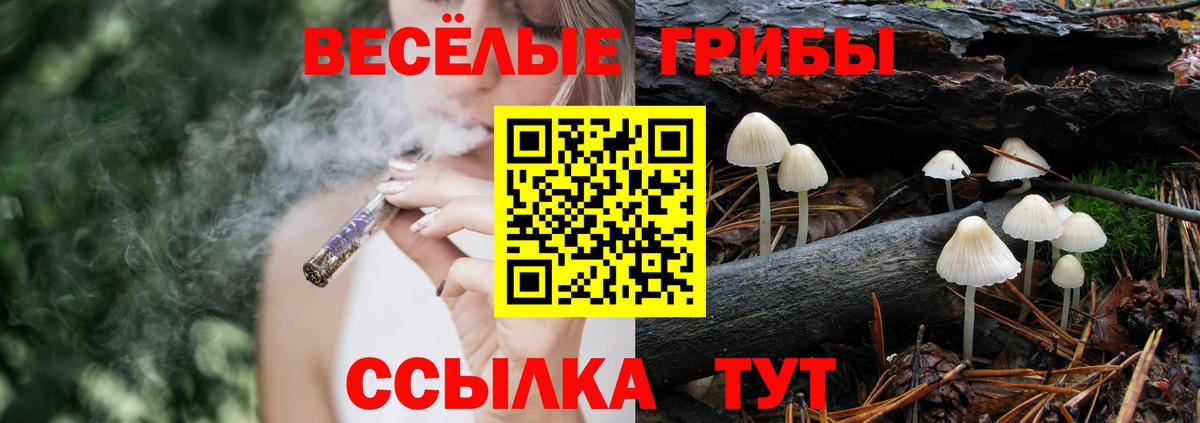 Галлюциногенные грибы MAGIC MUSHROOMS  Галлюциногенные грибы Psilocybe  Вход с VPN  Кисловодск 