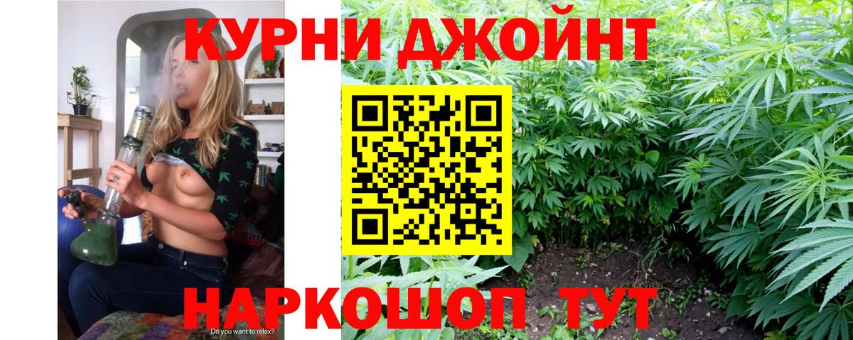 Кисловодск  Бошки марихуана тримм  Конопля конопля  Каннабис SATIVA & INDICA  Вход с VPN 